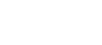 Fernandes Global Consulting Logo